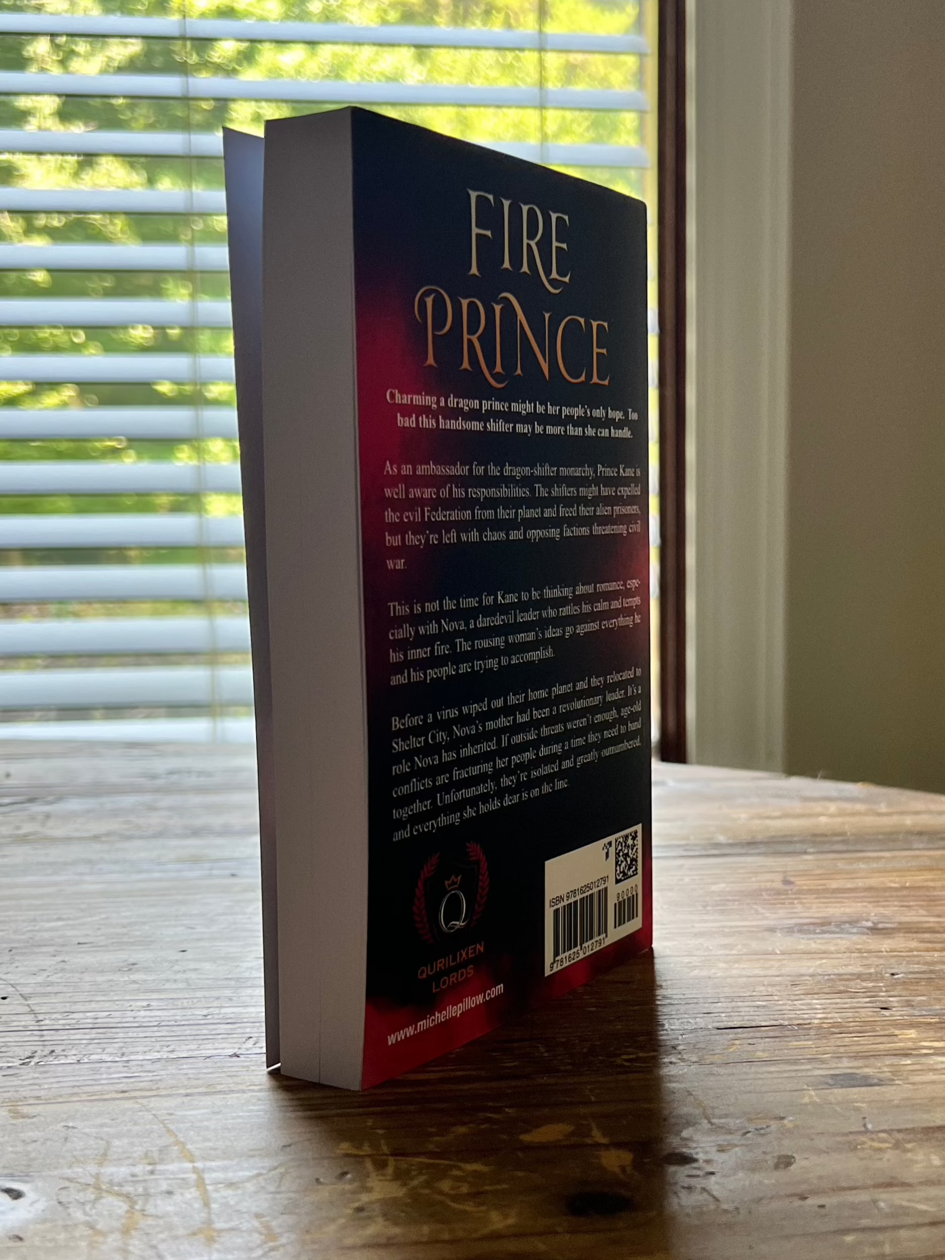 Fire Prince paperback back cover standing upright on a table.