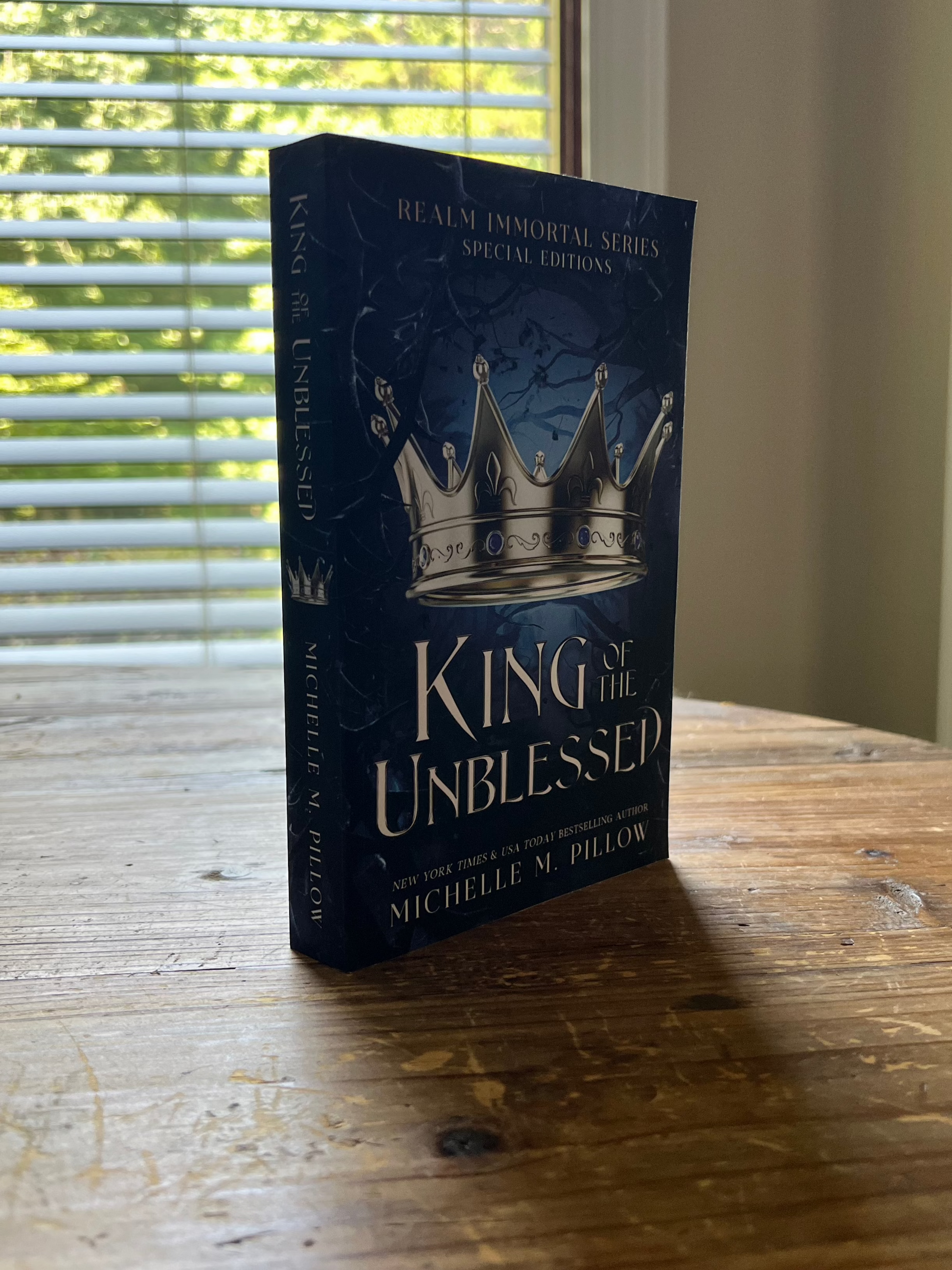 King of the Unblessed paperback standing upright on a table.