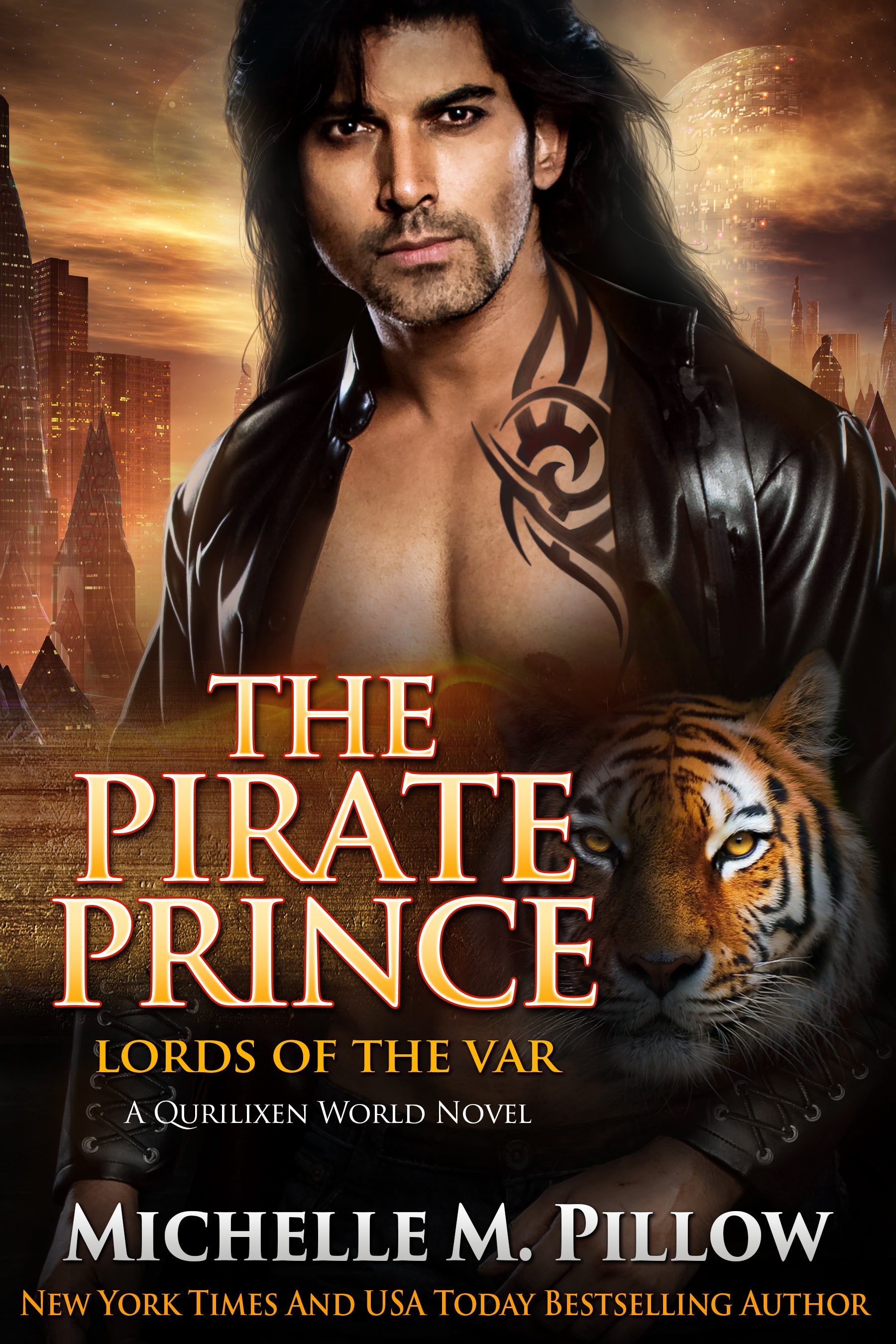 The Pirate Prince ebook cat shifter sci fi paranormal romance book cover