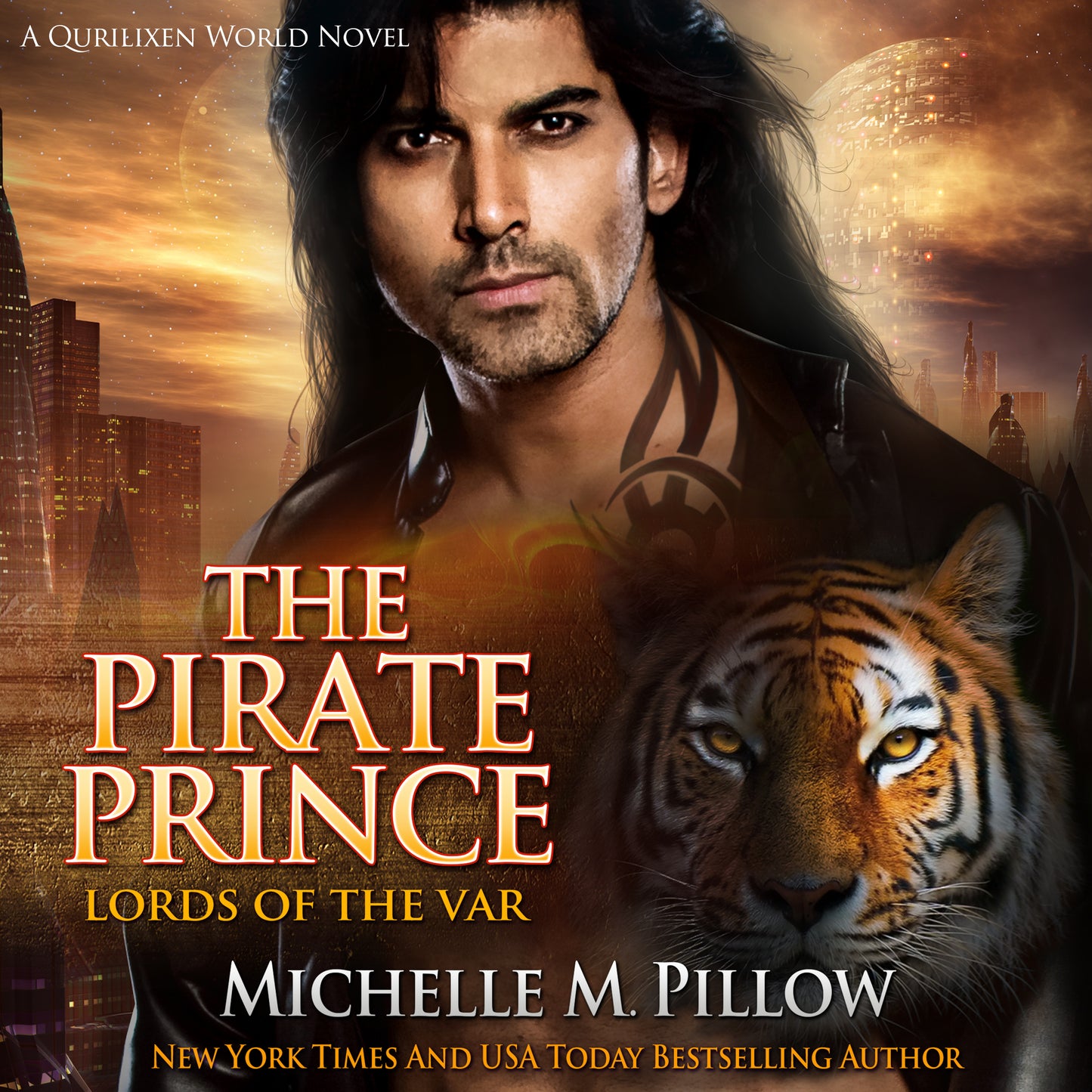  The Pirate Prince Audiobook catshifter paranormal romance book cover