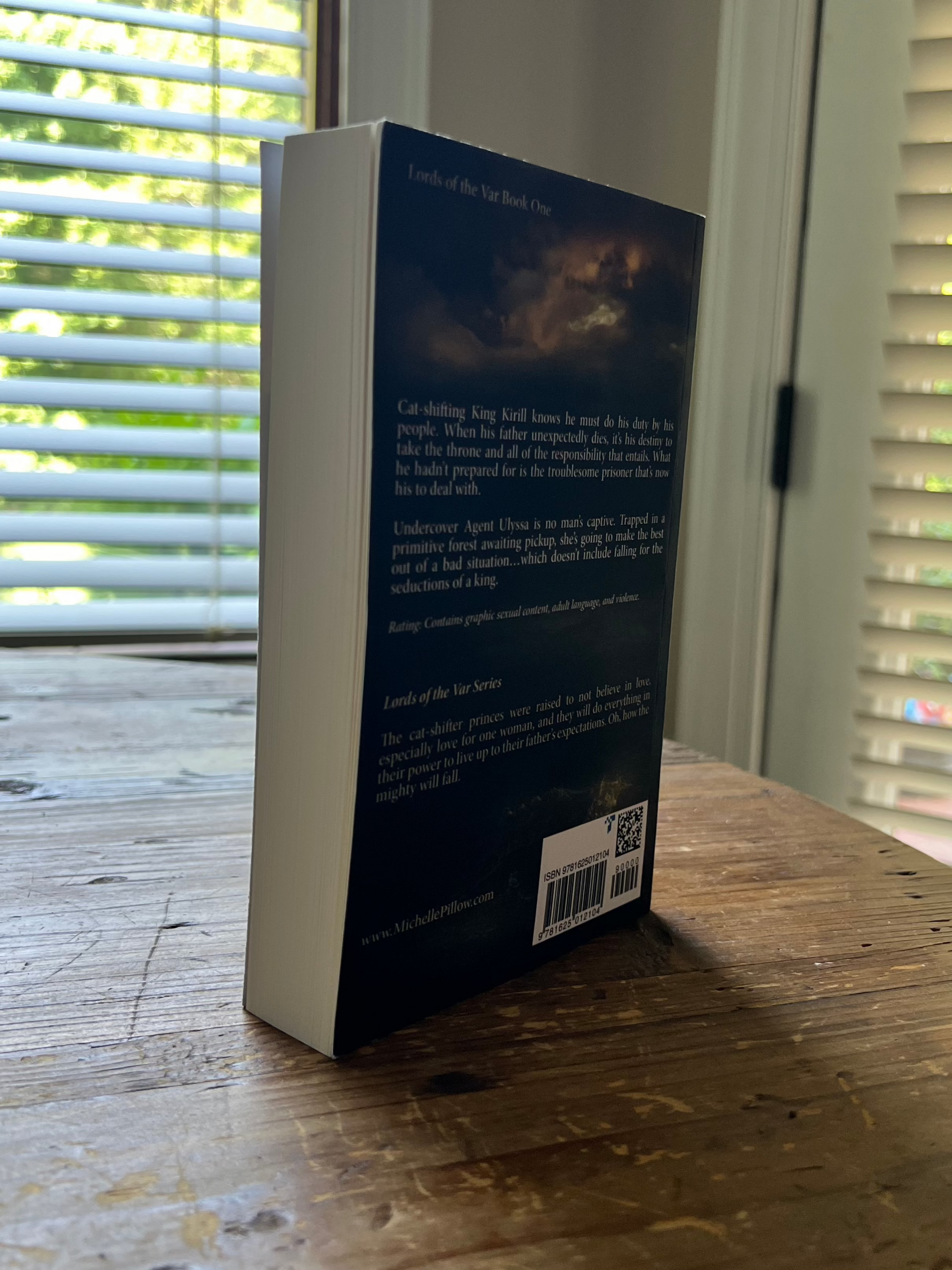 The Savage King paperback standing upright to show the back cover.